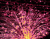 Cosmic ray tracks in bubble chamber