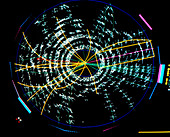 Particle tracks from t quark experiment