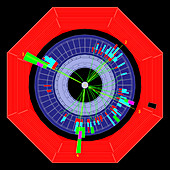 Four-jet event: evidence of gluons