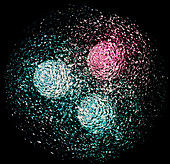 Visualisation of quark structure of proton