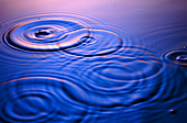 Ripples from drops falling into water