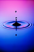 Droplet impact on water