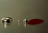 Drops of water and mercury on glass plate