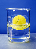 Tennis ball floating in water