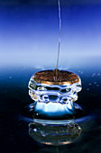 Surface tension,image 1 of 2