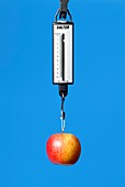 Weighing an apple