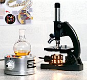 Heating mantle and light microscope