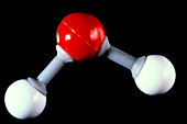 Model of water molecule