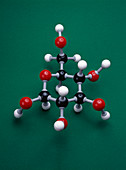 Glucose isomer model