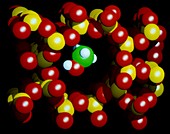 Methanol molecule in zeolite catalyst