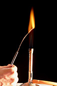 Sodium metal flame test