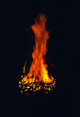 Bonfire,November the fifth