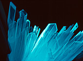 Sodium sulphate crystals
