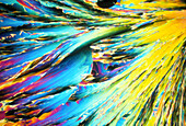 Polarised L/M of crystals of tataric acid