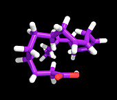 Molecule of linolenic acid