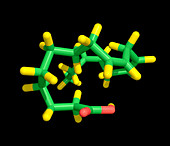 Molecule of linolenic acid