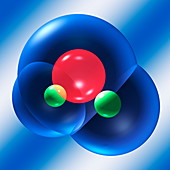 Water molecule