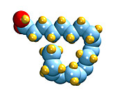 Alpha-linolenic acid,computer model