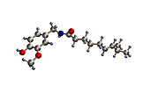 Capsaicin molecule