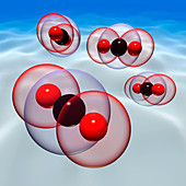 Carbon dioxide molecules