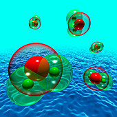 Water molecules in water vapour