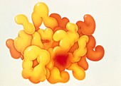 Art of enzyme showing active site