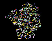 Computer artwork of a lipase molecule