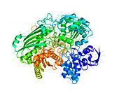 Enzyme from a sulphur-reducing bacterium