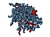 Kinase molecule,computer artwork