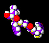 Enkephalin molecule