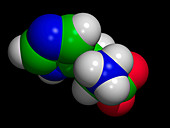 Histidine amino acid