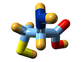 Cysteine,molecular model
