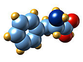 Phenylalanine,molecular model