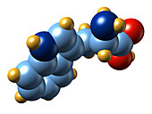 Tryptophan,molecular model
