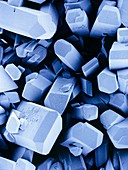 Blue-tinted SEM of vitamin C crystals