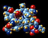 Vitamin B12,molecular model