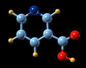 Vitamin B3,molecular model