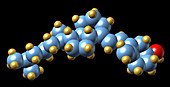 Vitamin D3,molecular model