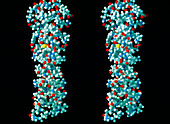 Molecular graphic of the protein keratin