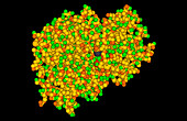 Computer artwork of a molecule of casein