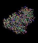 Ricin molecule