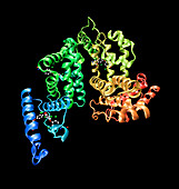 Human serum albumin molecule