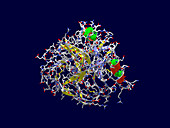 NovoSeven clotting protein molecule