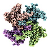 RNA processing protein,molecular model