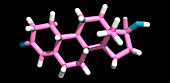 Norethindrone hormone molecule