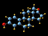 Oestrone hormone,molecular model