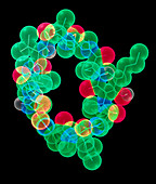 Cyclosporin drug molecule