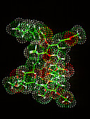 Bryostatin drug molecule