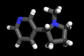 Nicotine molecule