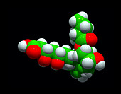Pravastatin drug,molecular model